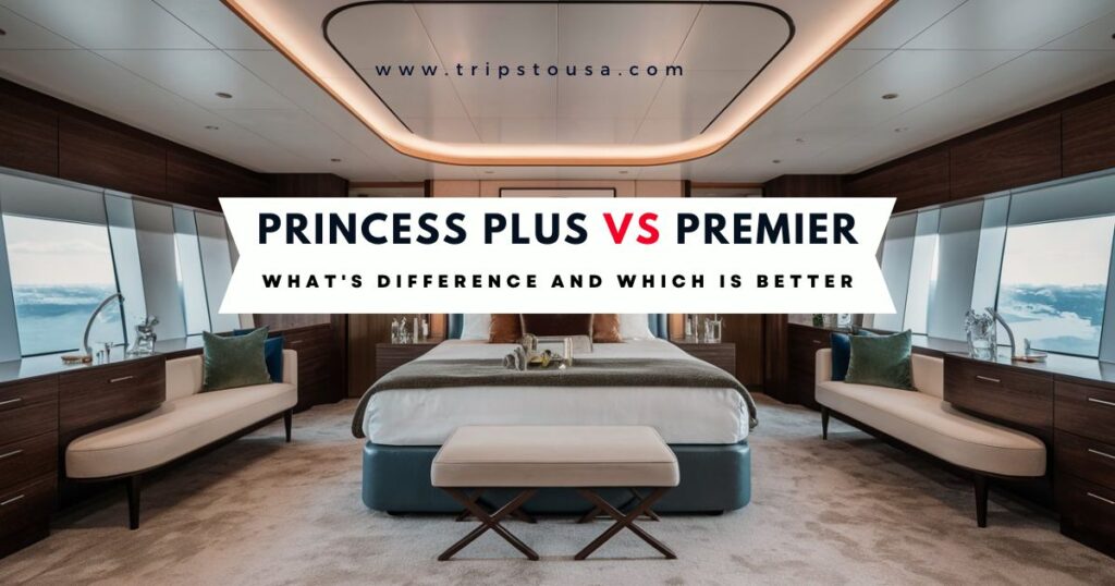 Princess Plus vs Premier | What's Difference And Which Is Better