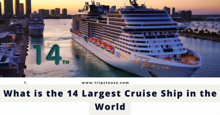 What is the 14 Largest Cruise Ship in the World