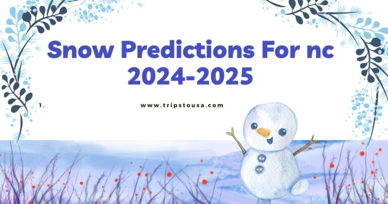 Snow Predictions For nc 2024-2025