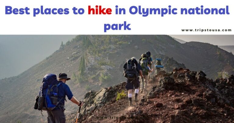 Best places to hike in Olympic national park